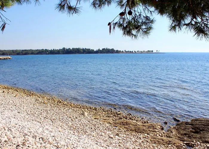 Appartement With Parking Space Babici, - 22437 Umag